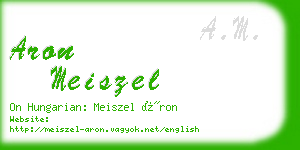 aron meiszel business card